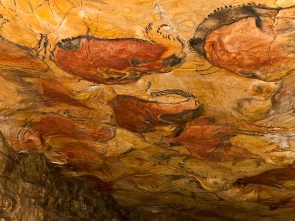فيلا La Pergola سانتيانا ذيل مار المظهر الخارجي الصورة